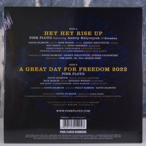Hey Hey Rise Up (feat. Andriy Khlyvnyuk of Boombox) (02)